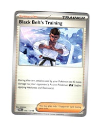 Black Belts Training Common 145/159 Journey Together Pokemon