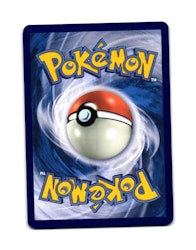 Bagon Common 112/159 Journey Together Pokemon