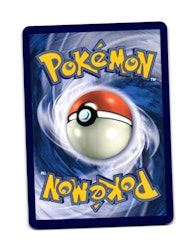 Swinub Common 077/159 Journey Together Pokemon