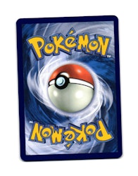 Lokix Uncommon 100/159 Journey Together Pokemon