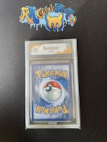 Phanpy Full Art 205 Surging Sparks Pokemon Graded Card 8 Rauk Card