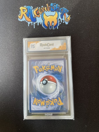 Phanpy Full Art 205 Surging Sparks Pokemon Graded Card 8 Rauk Card
