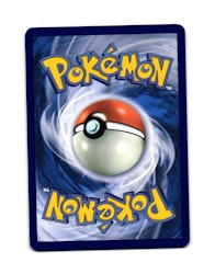 Rellor Reverse Holo Common 024/182 Destined Rivals Pokemon