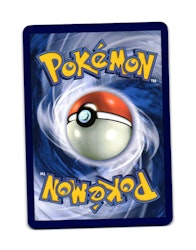 Torchic Reverse Holo Common 040/182 Destined Rivals Pokemon