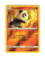 Pancham Reverse Holo Common 65/131 Forbidden Light Pokemon
