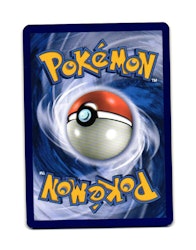 Zygarde Reverse Holo Uncommon 71/131 Forbidden Light Pokemon