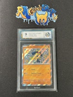 Shiny Riolu 173 Paldean Fates Pokemon Graded Card 9 RaukCard