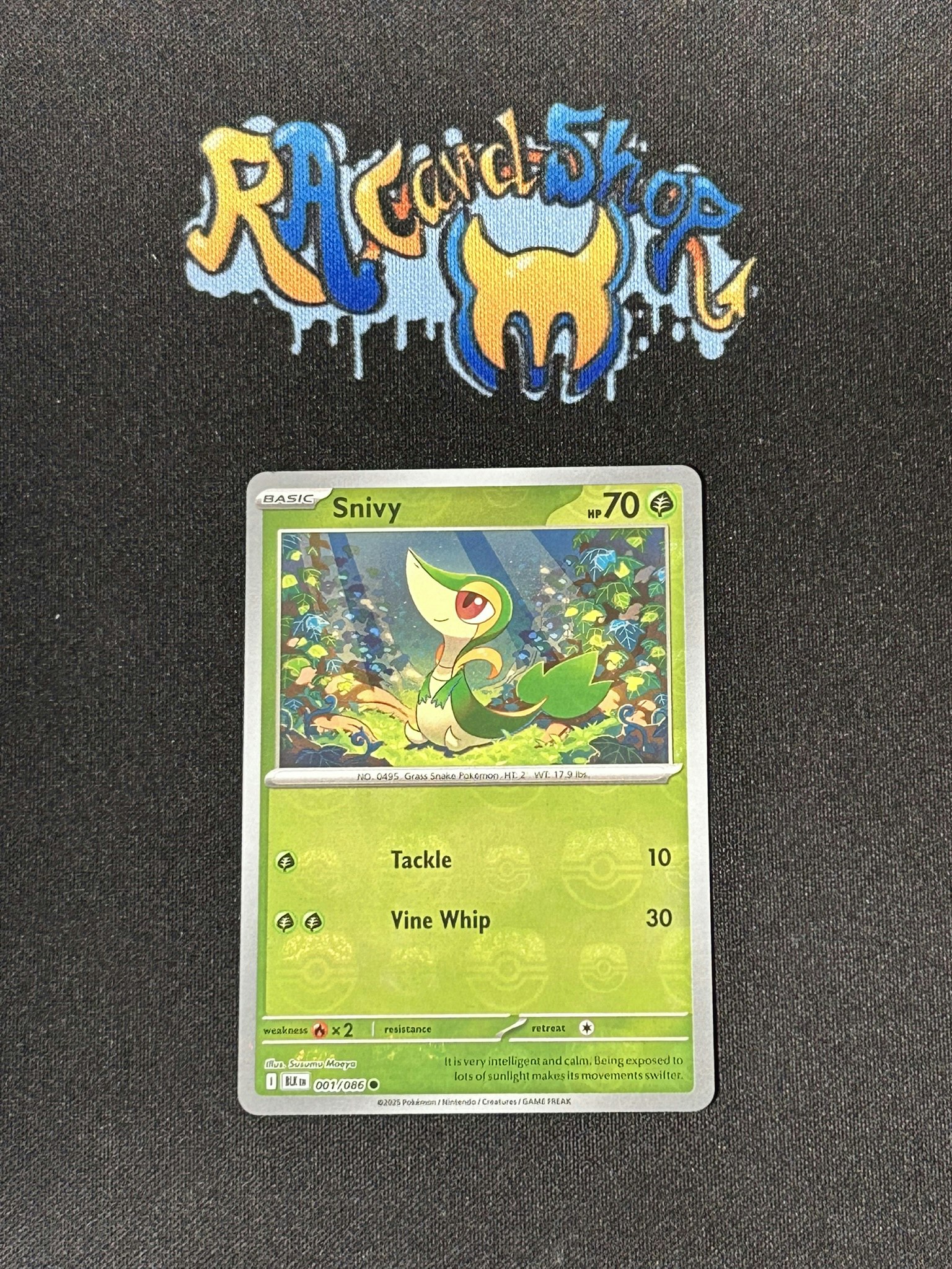 Snivy Reverse Holo Master Ball Common 001/086 Black Bolt Pokemon
