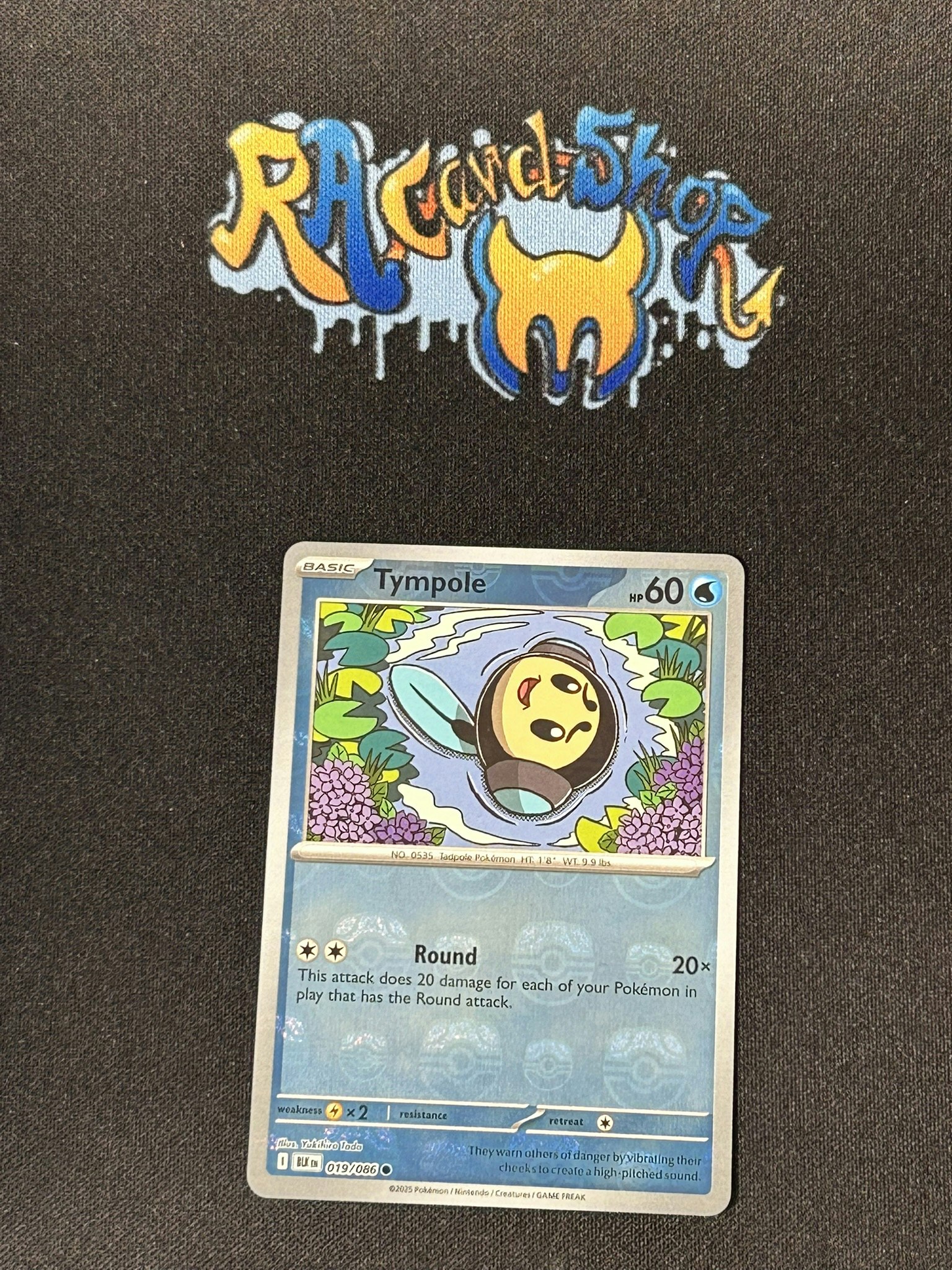Tympole Reverse Holo Master Ball Common 019/086 Black Bolt Pokemon