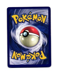 Kabuto Common 50/62 Fossil 1st Edition Pokemon
