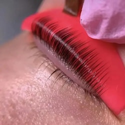 Lashlift Coils L Bend