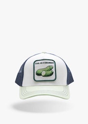 Cool as a Cucumber