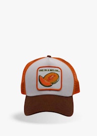 One In A Melon
