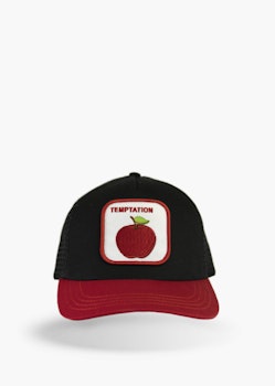 Temptation