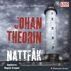 Nattfåk - Johan Theorin (Ljudbok)
