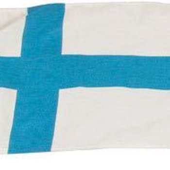 Gästflagga Finland 20x30cm