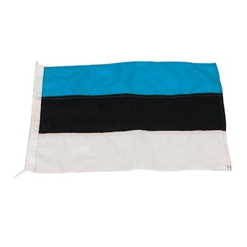 Gästflagga Estland 20x30cm