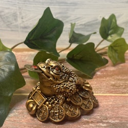 Feng Shui groda guld