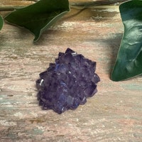 Ametist blomma