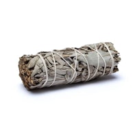 Vit salvia