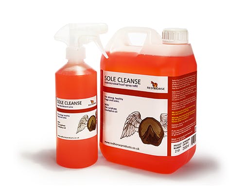 Sole Cleanse, 500 ml
