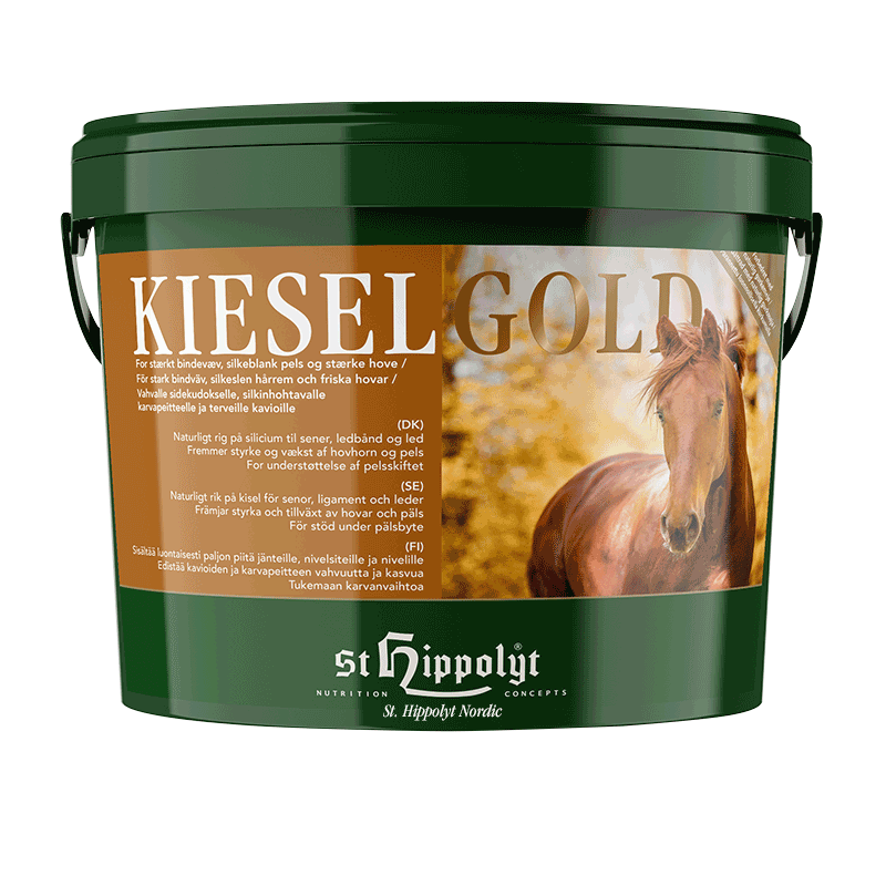 Kiselgold, 4kg