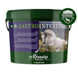 St Hippolyt Gastrointestinal, 3kg
