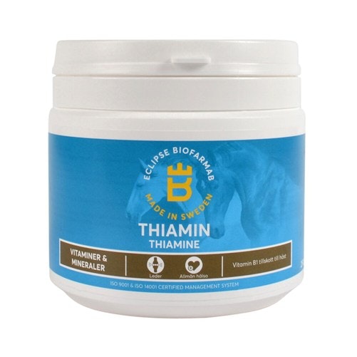 Thiamin, 250g