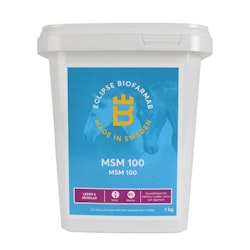 MSM 100, 1kg