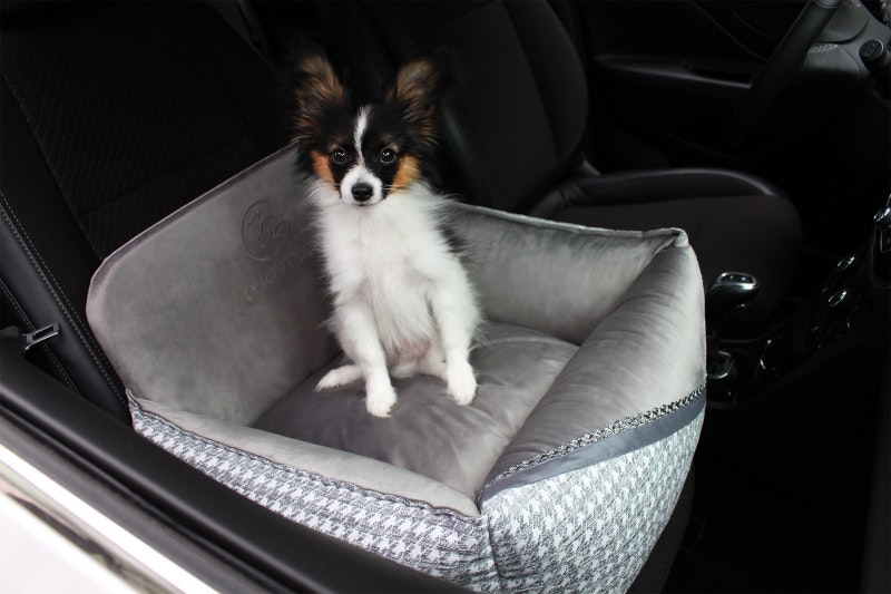 Coronatider med hund