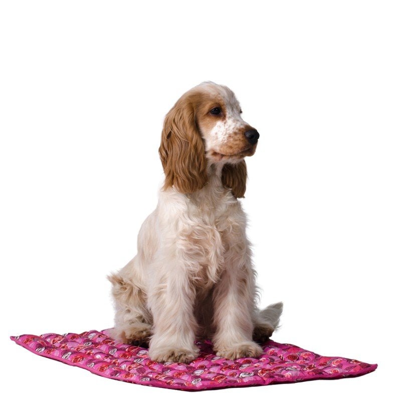 Kyldyna och silverduk till hunden