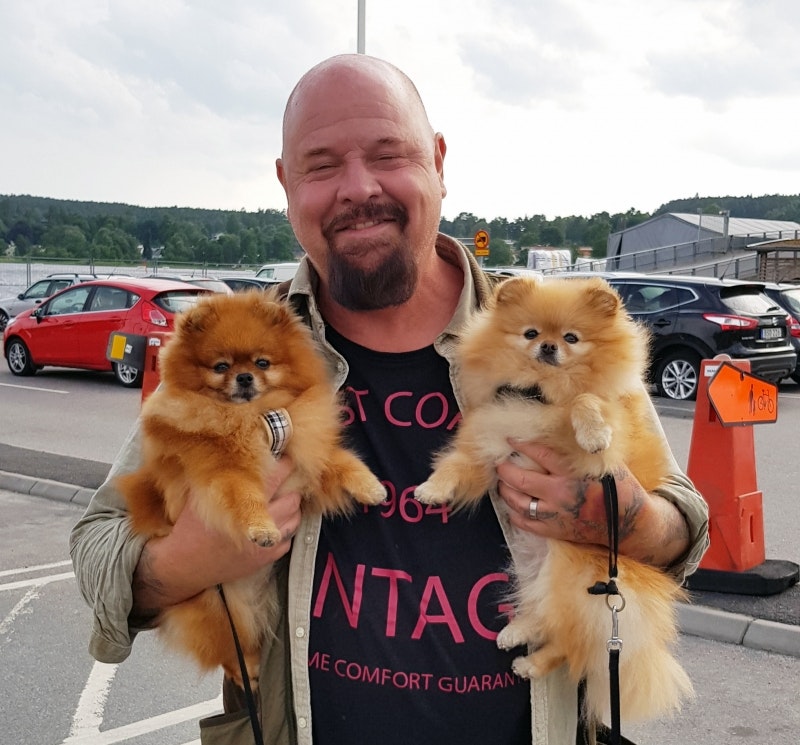 Event med Prima Dog och Anders Bagge