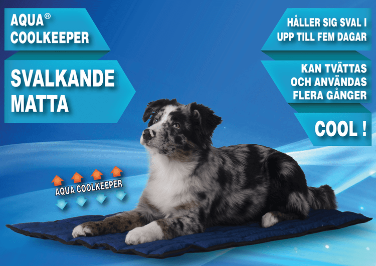 Så Här Väljer Du Rätt Kylande Produkt till Din Hund