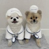 SPA Dog Toy Slippers