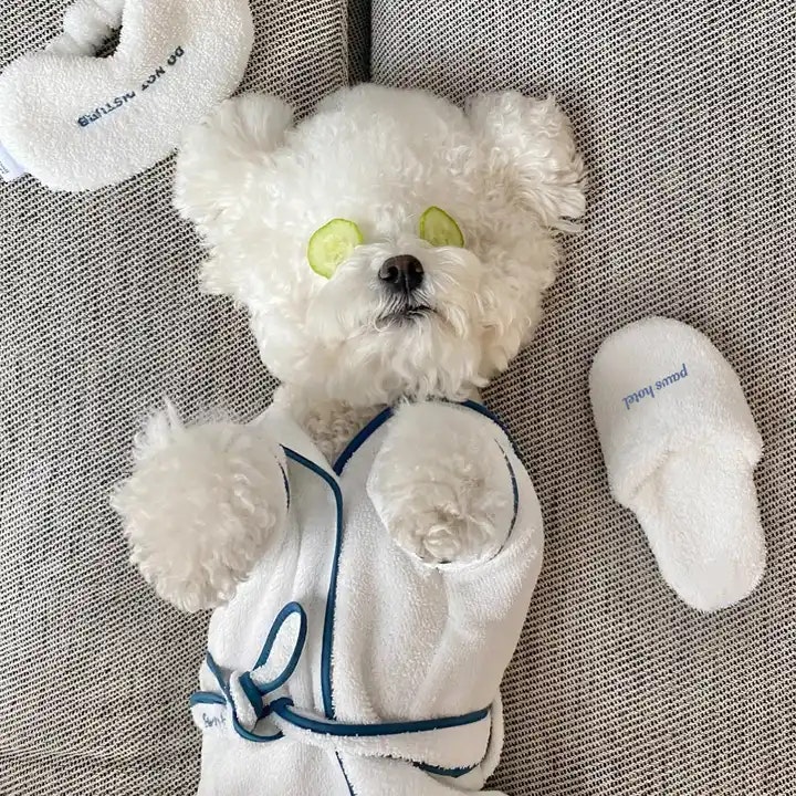 SPA Dog Toy Slippers