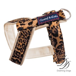 Gustaf & Evita Hundsele Pro Leo/Beige