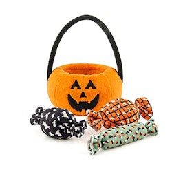 Howl-o-Ween Pumpkin Basket