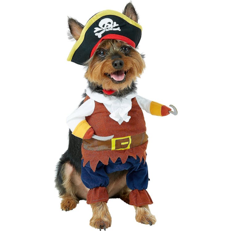 Pirat, Maskeraddräkt till hund