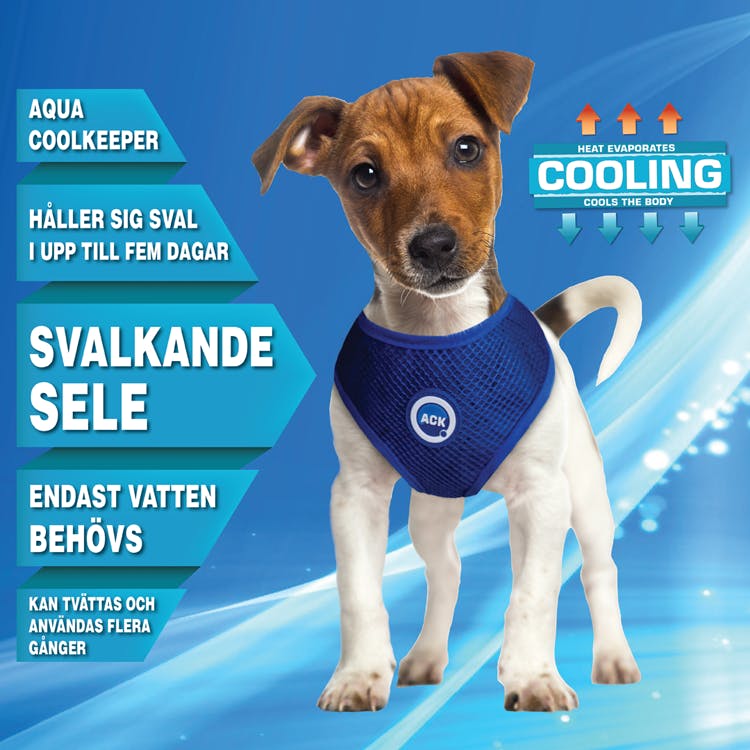 Aqua Coolkeeper - Kylande Sele, Blå - Dashing Dogs
