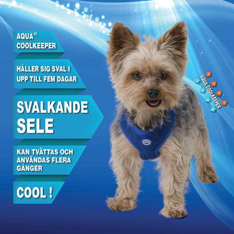 Aqua Coolkeeper - Kylande Sele, Blå