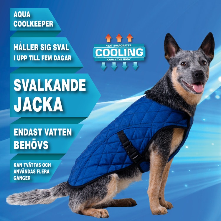 Aqua Coolkeeper - Kylande Jacka, Blå