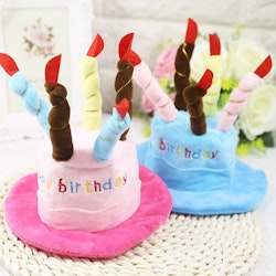 Birthday Cake Hat