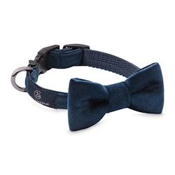 Glam Bow-tie Navy Blue
