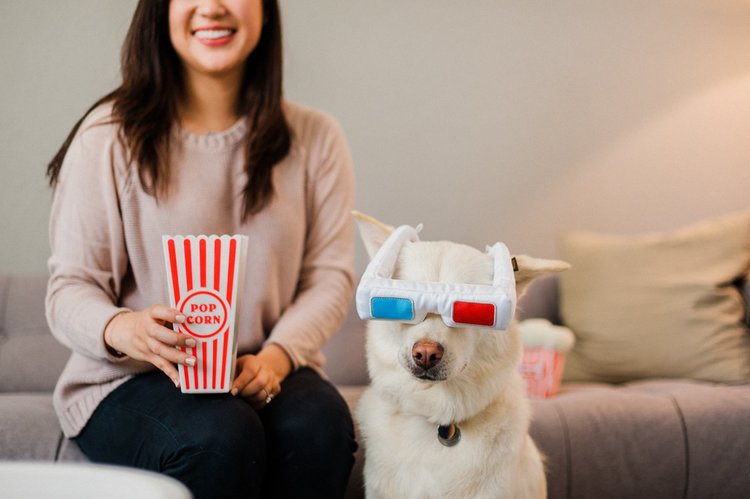 Hollywoof Cinema Collection 3-Dog Glasses