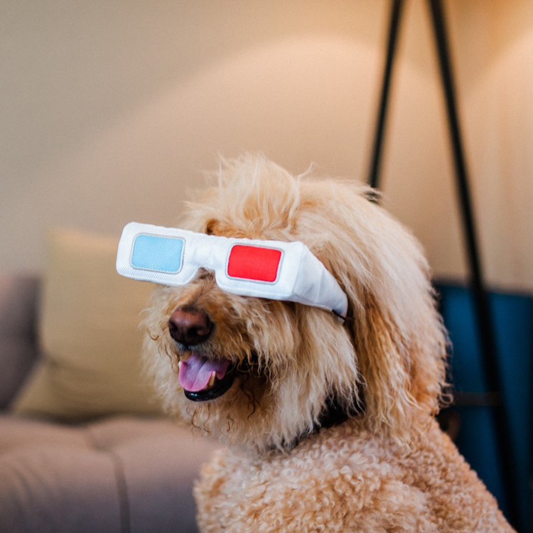 Hollywoof Cinema Collection 3-Dog Glasses