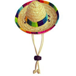 Sombrero hatt