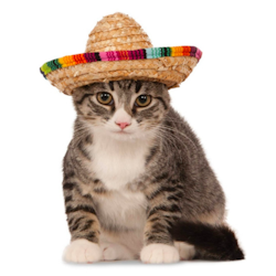 Sombrero hatt