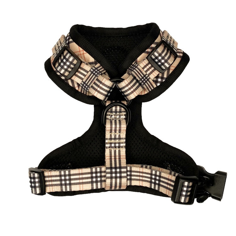 Check it out Tartan Harness