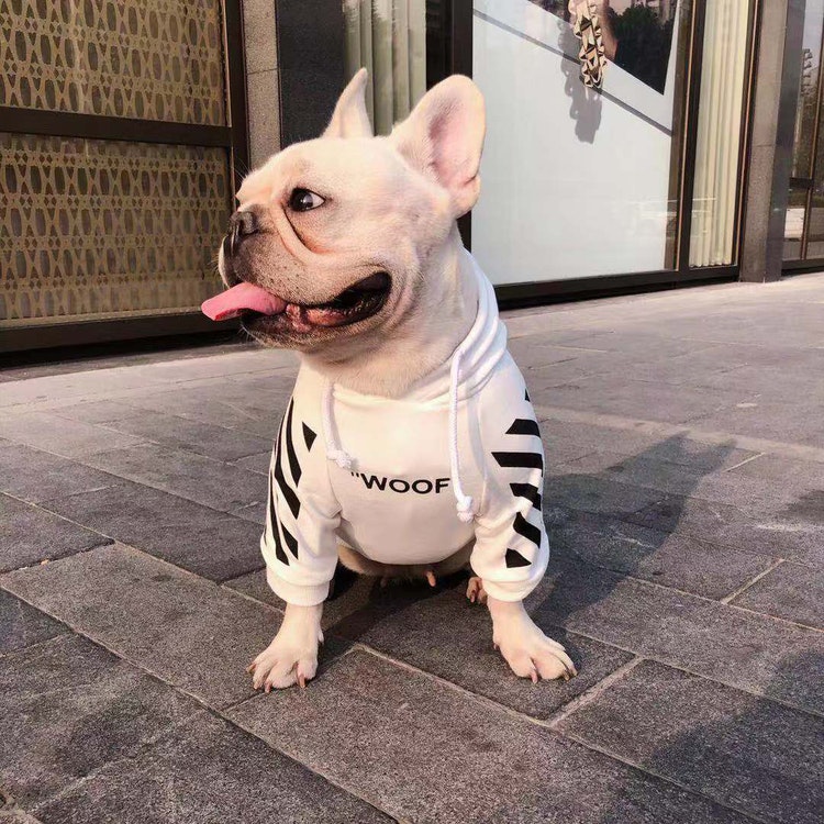 Woof Hoodie Vit Hundtröja Small