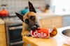 Good Boy Cola Hundleksak